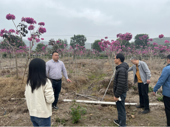 簡報2023-19期 沙湖鎮(zhèn)：黨建引領(lǐng)備春耕 不誤農(nóng)時不負春508.png