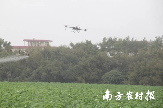 無人機演示現(xiàn)場。