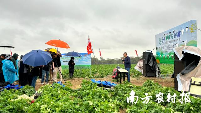 培訓(xùn)現(xiàn)場，一臺直播設(shè)備將培訓(xùn)過程傳送至網(wǎng)絡(luò)，不少種植戶紛紛在線上留言互動。