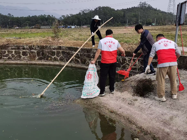已編輯圖片
