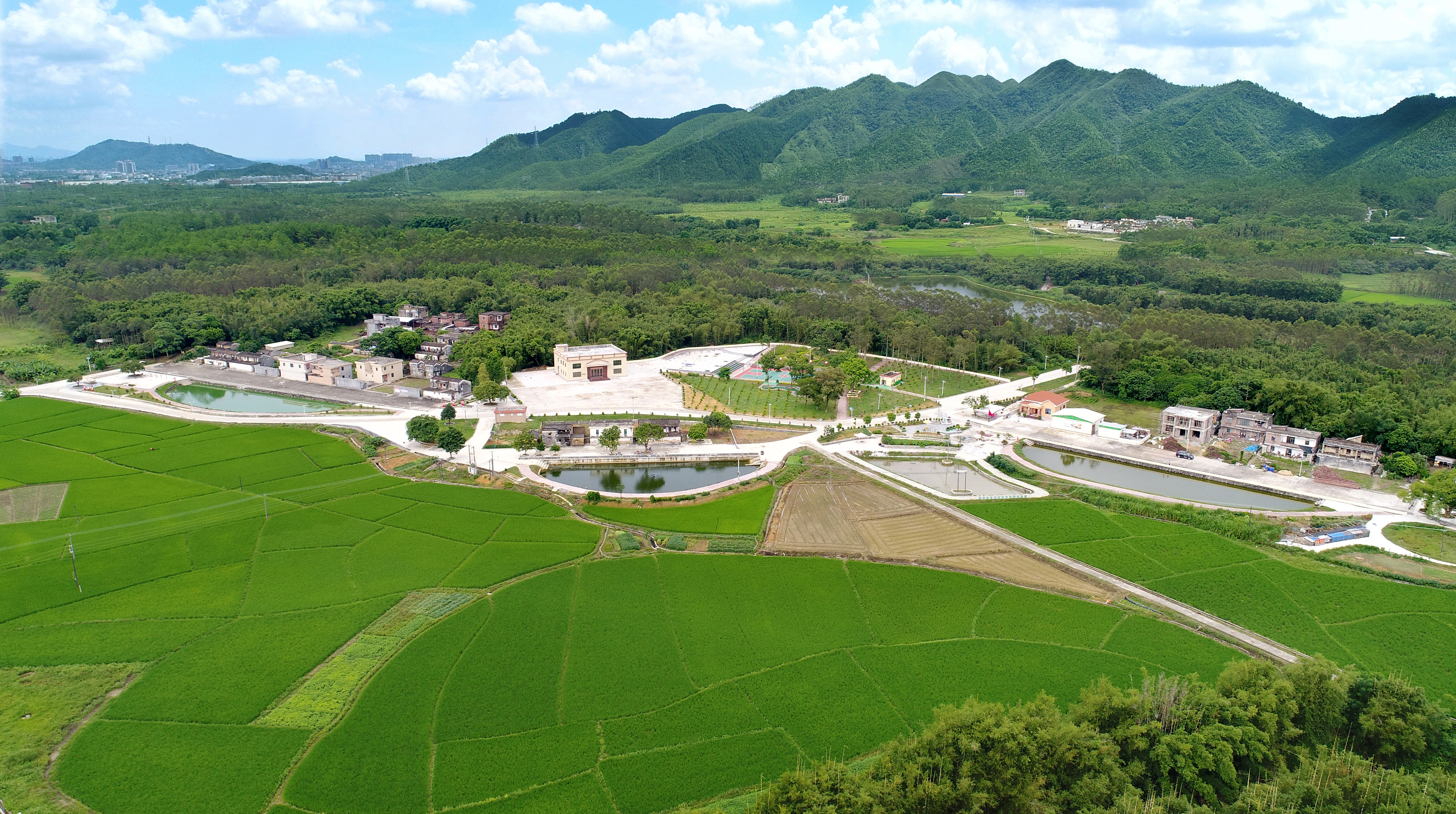 白麻坪村1.jpg