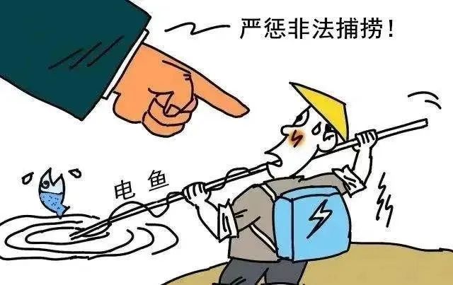 475A9065_副本.jpg