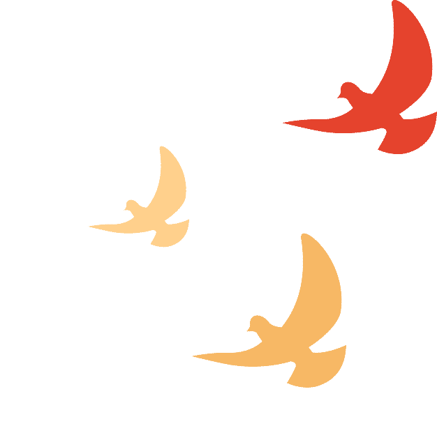 DƬ