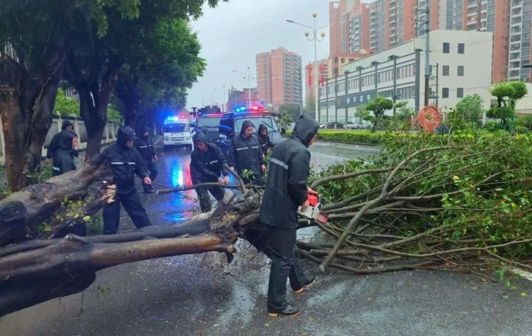 臺(tái)風(fēng)“韋帕”來(lái)襲，恩平公安全力守護(hù)群眾安全