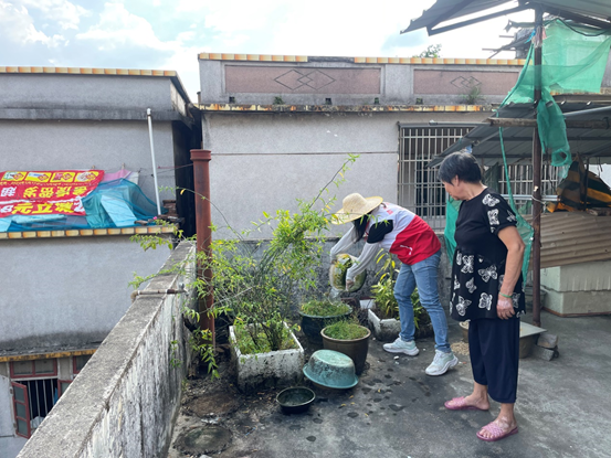 市財(cái)政局開(kāi)展入戶防蚊宣傳排查工作