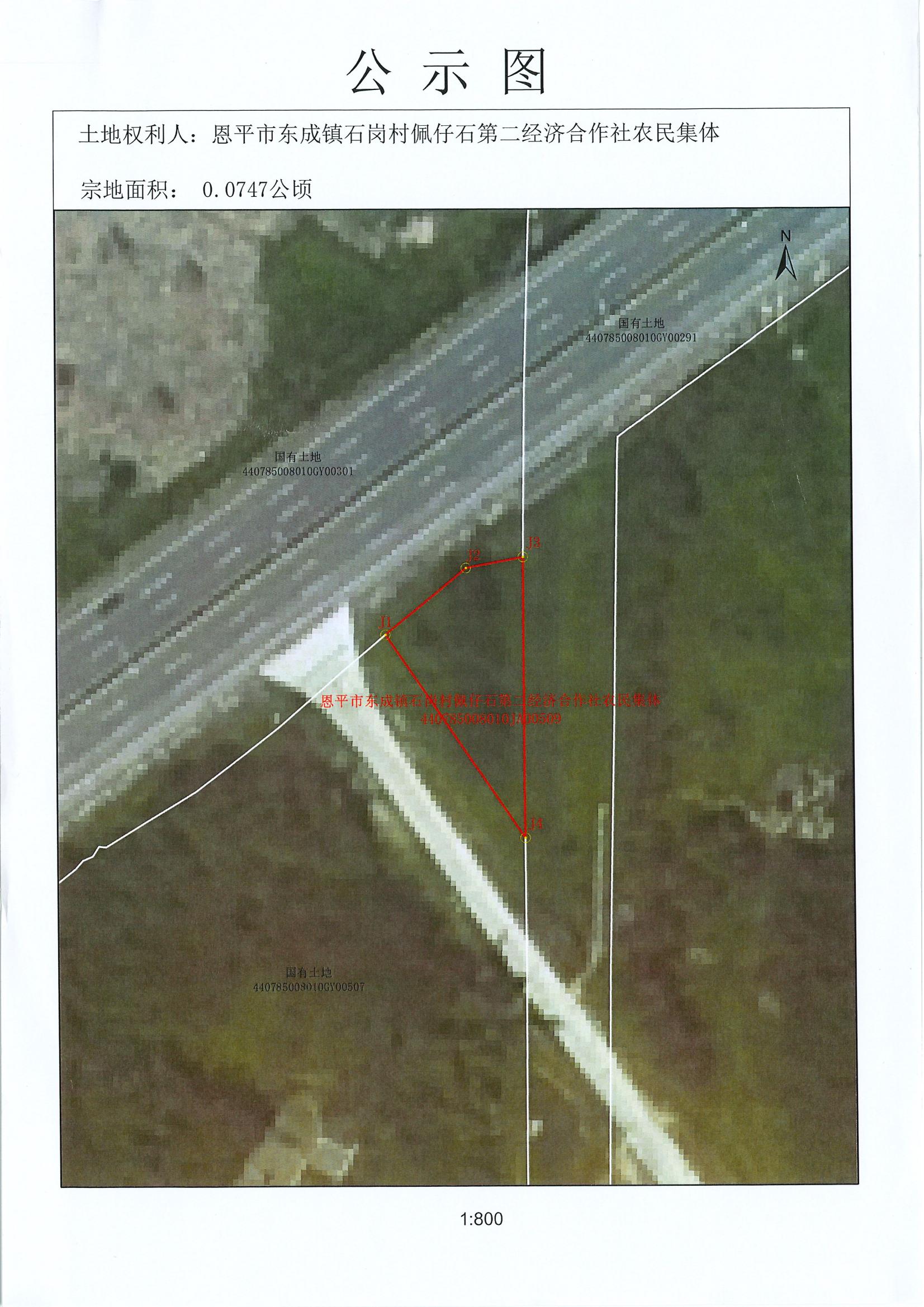 不動產(chǎn)首次登記公告（恩平市東成鎮(zhèn)石崗村佩仔石第二經(jīng)濟(jì)合作社農(nóng)村集體）_01.jpg