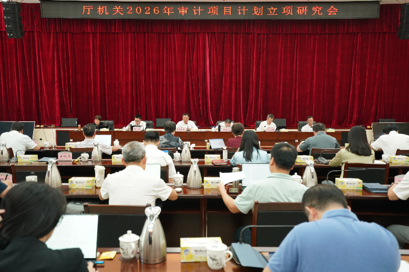 省審計廳召開2026年審計項目計劃立項研究會 