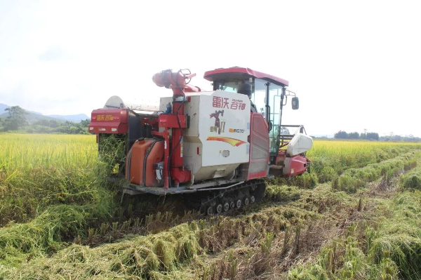 奮戰(zhàn)“百千萬工程”｜恩平：“金融+保險”雙輪驅(qū)動，激活“社村”合作新動能