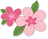 漂亮的櫻花